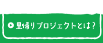 里帰りプロジェクトとは？