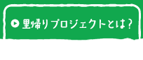 里帰りプロジェクトとは？