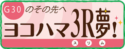 G30のその先へ ヨコハマ3R夢（スリム）！